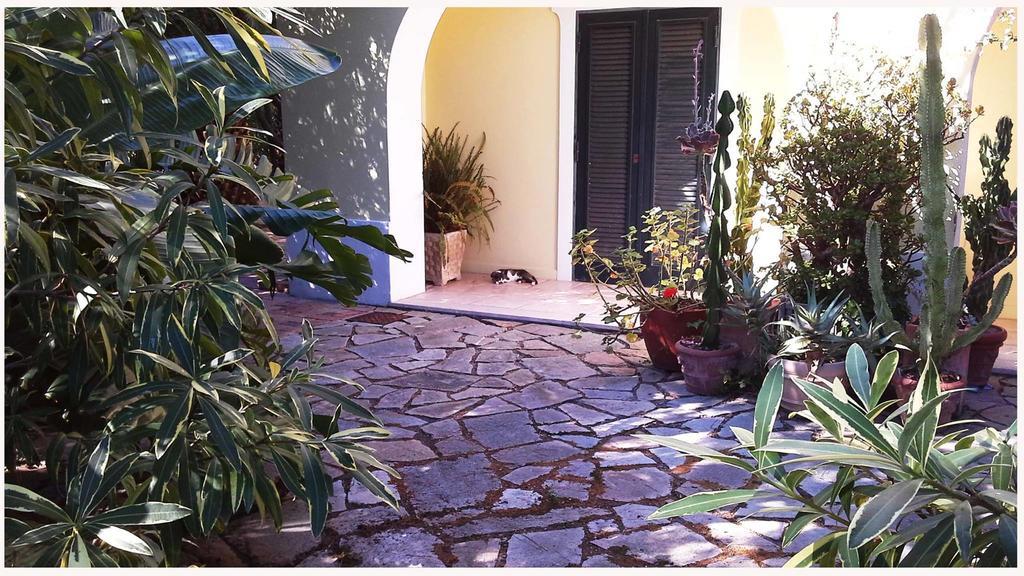 B&B La Salamandra Kitchengarden Forio  Exterior photo